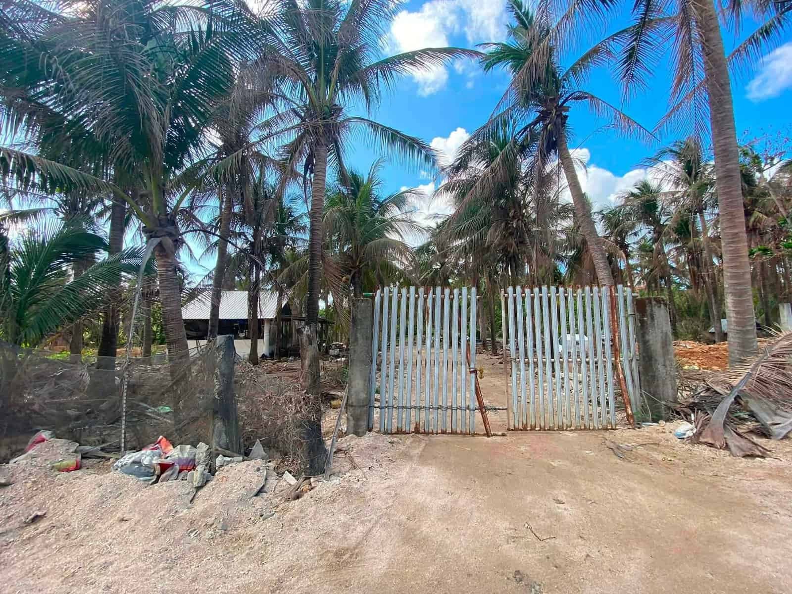 1000217101 Beachfront Lot for Sale in Patar, Bolinao, Pangasinan | 1 Hectare