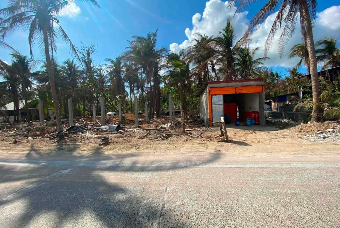 Beachfront Lot for Sale in Patar, Bolinao, Pangasinan | 1 Hectare