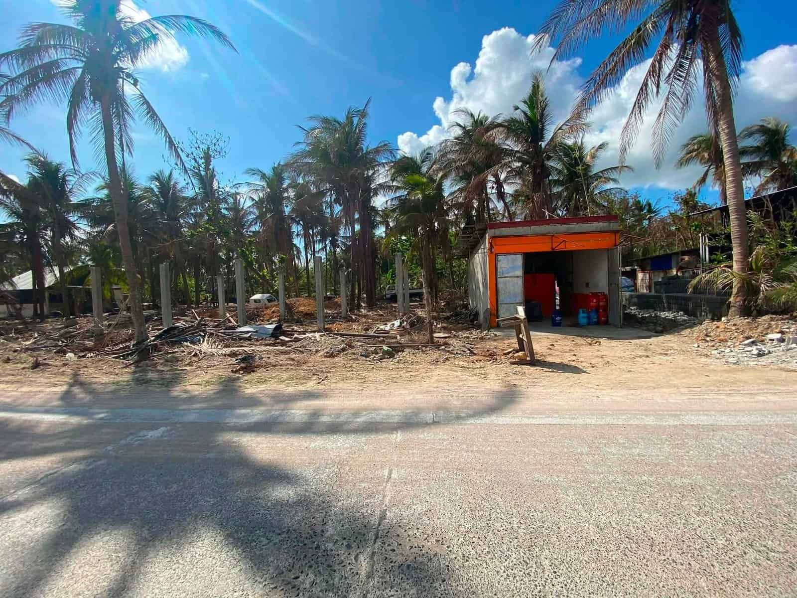 1000217102 Beachfront Lot for Sale in Patar, Bolinao, Pangasinan | 1 Hectare