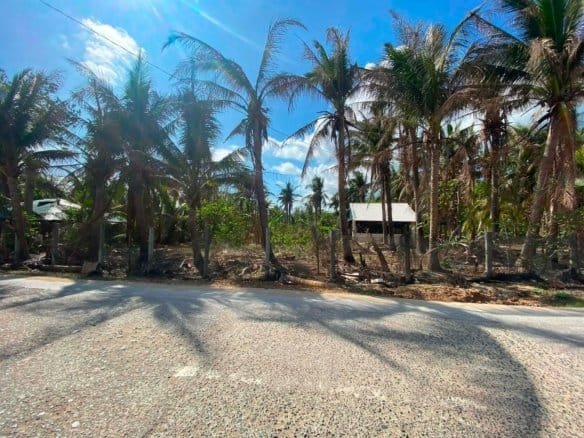 Beachfront Lot for Sale in Patar, Bolinao, Pangasinan | 1 Hectare