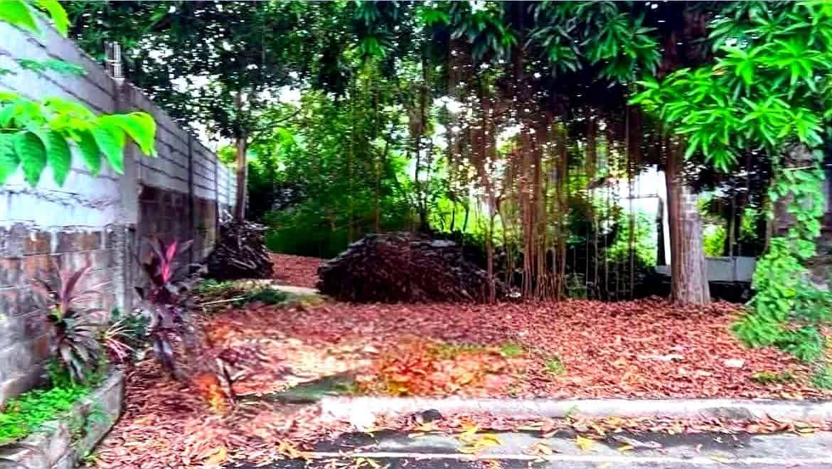 Corner Lot for Sale in Tandang Sora, Quezon City | 299 sqm