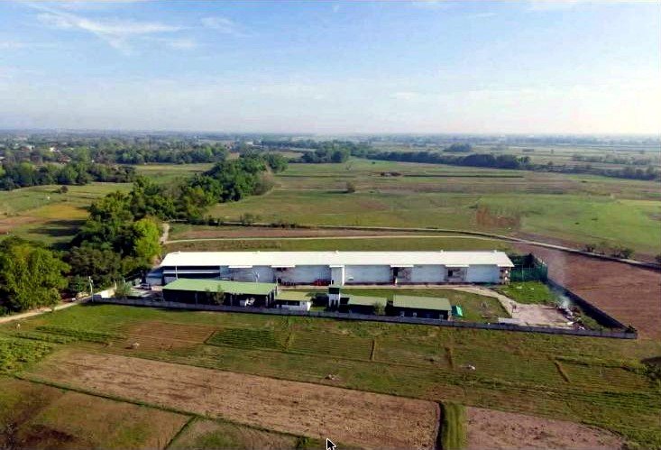 99,000-Bird Poultry Farm for Sale in Gerona, Tarlac