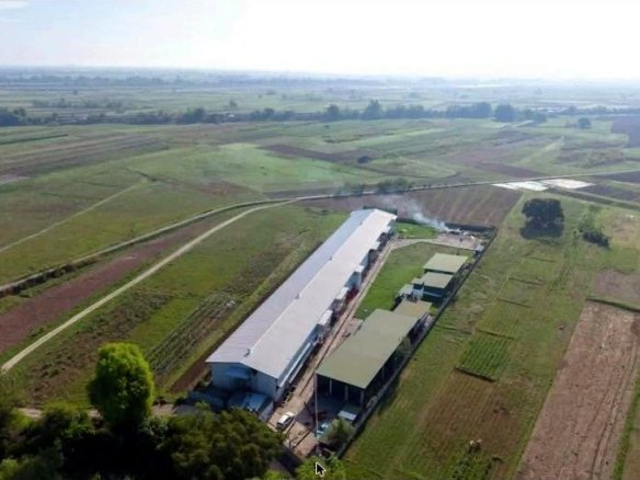 99,000-Bird Poultry Farm for Sale in Gerona, Tarlac
