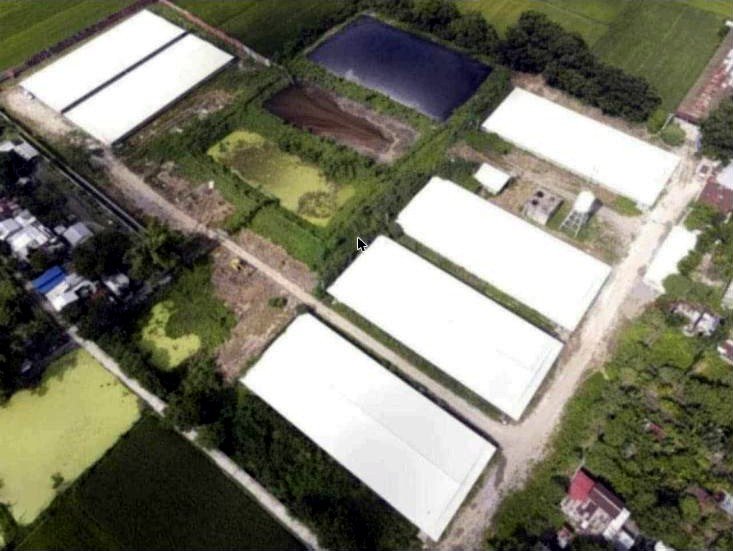 Operational Piggery for Sale in Mapandan, Pangasinan