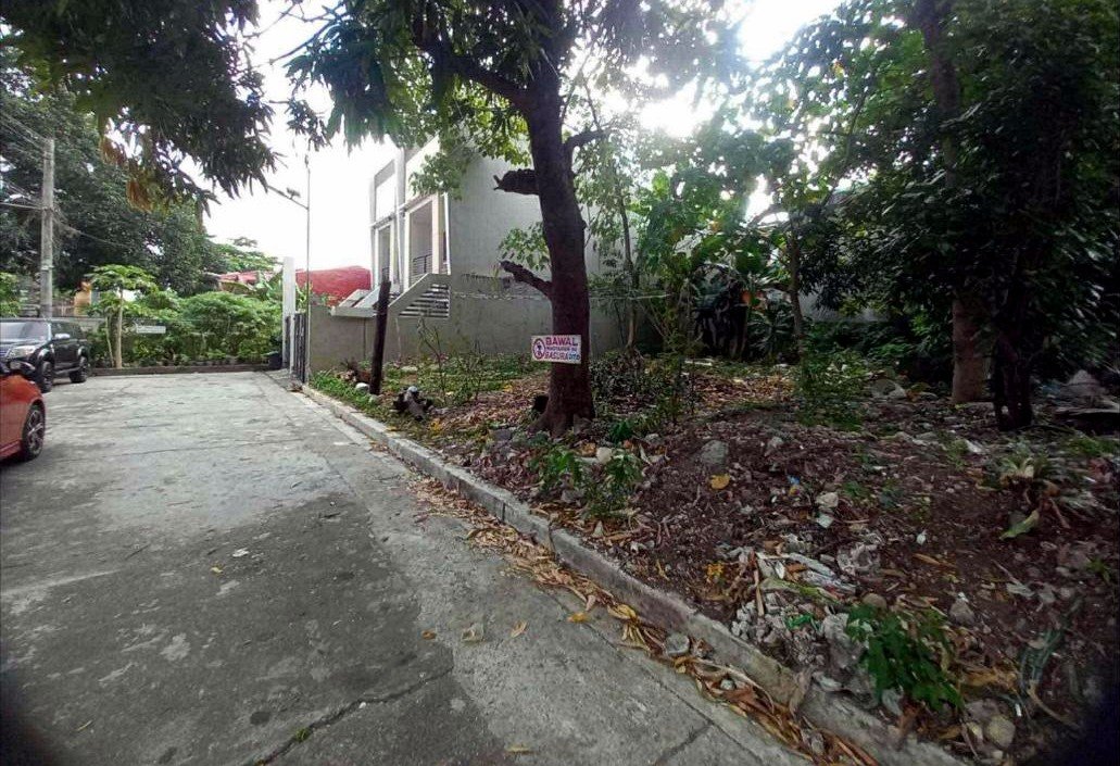 Vacant Lot for Sale in Doña Faustina 2, Tandang Sora, QC