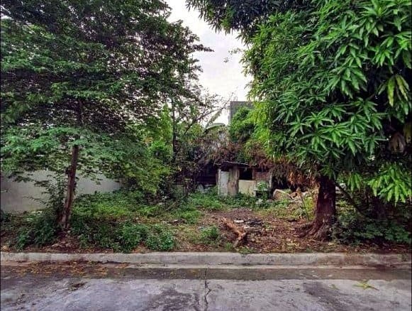 Vacant Lot for Sale in Doña Faustina 2, Tandang Sora, QC