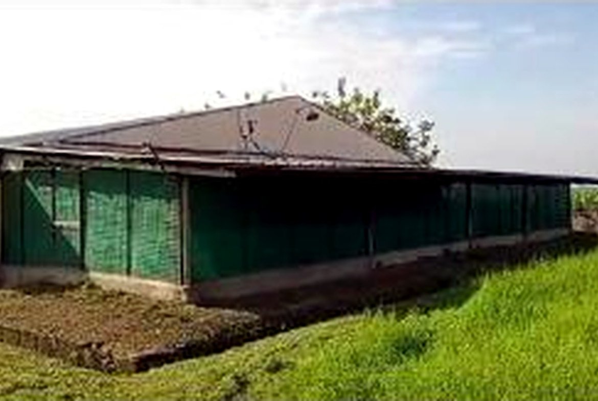 Poultry Farm for Sale in Concepcion, Tarlac | 2.8 Hectares