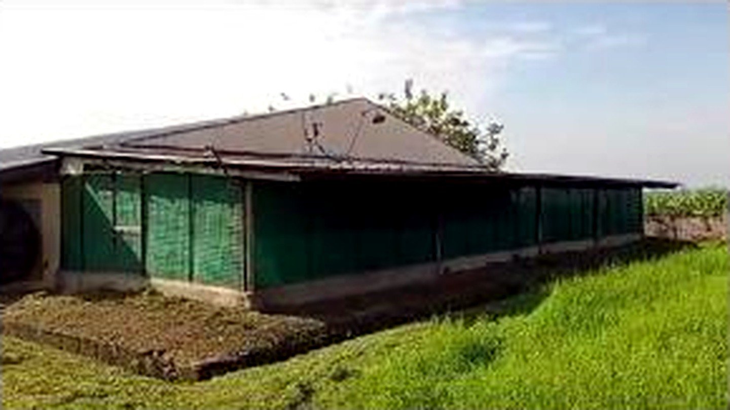 Poultry Farm for Sale in Concepcion, Tarlac | 2.8 Hectares