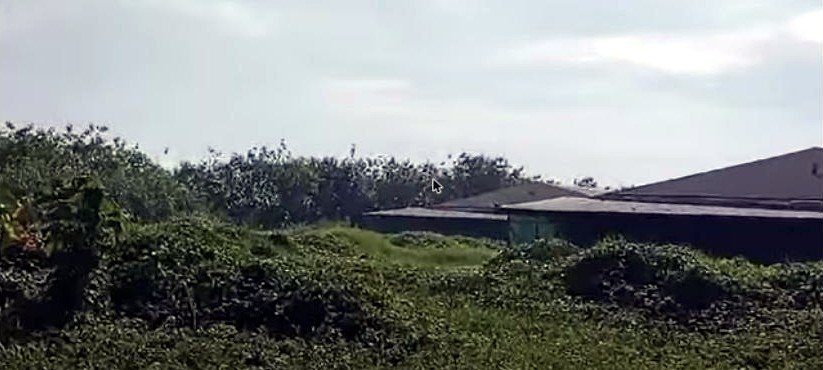 Poultry Farm for Sale in Concepcion, Tarlac | 2.8 Hectares