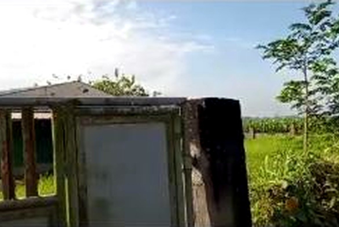 Poultry Farm for Sale in Concepcion, Tarlac | 2.8 Hectares