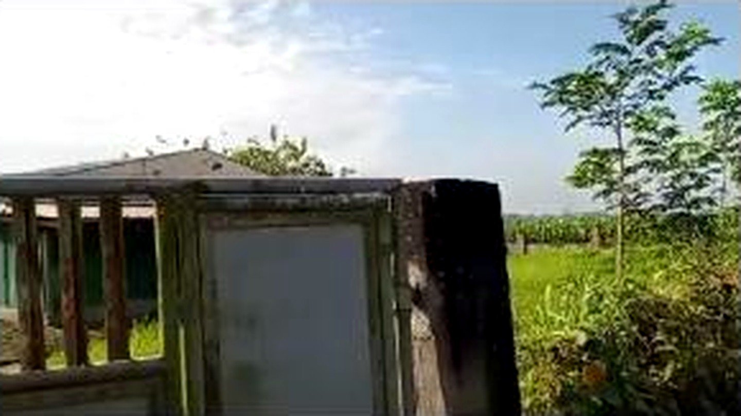 Poultry Farm for Sale in Concepcion, Tarlac | 2.8 Hectares