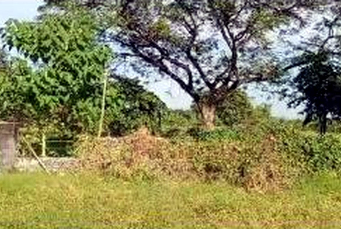 Poultry Farm for Sale in Concepcion, Tarlac | 2.8 Hectares