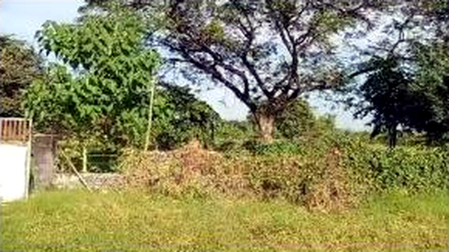 Poultry Farm for Sale in Concepcion, Tarlac | 2.8 Hectares