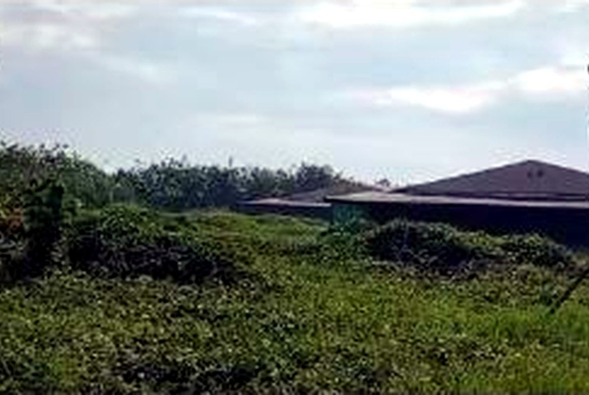 Poultry Farm for Sale in Concepcion, Tarlac | 2.8 Hectares