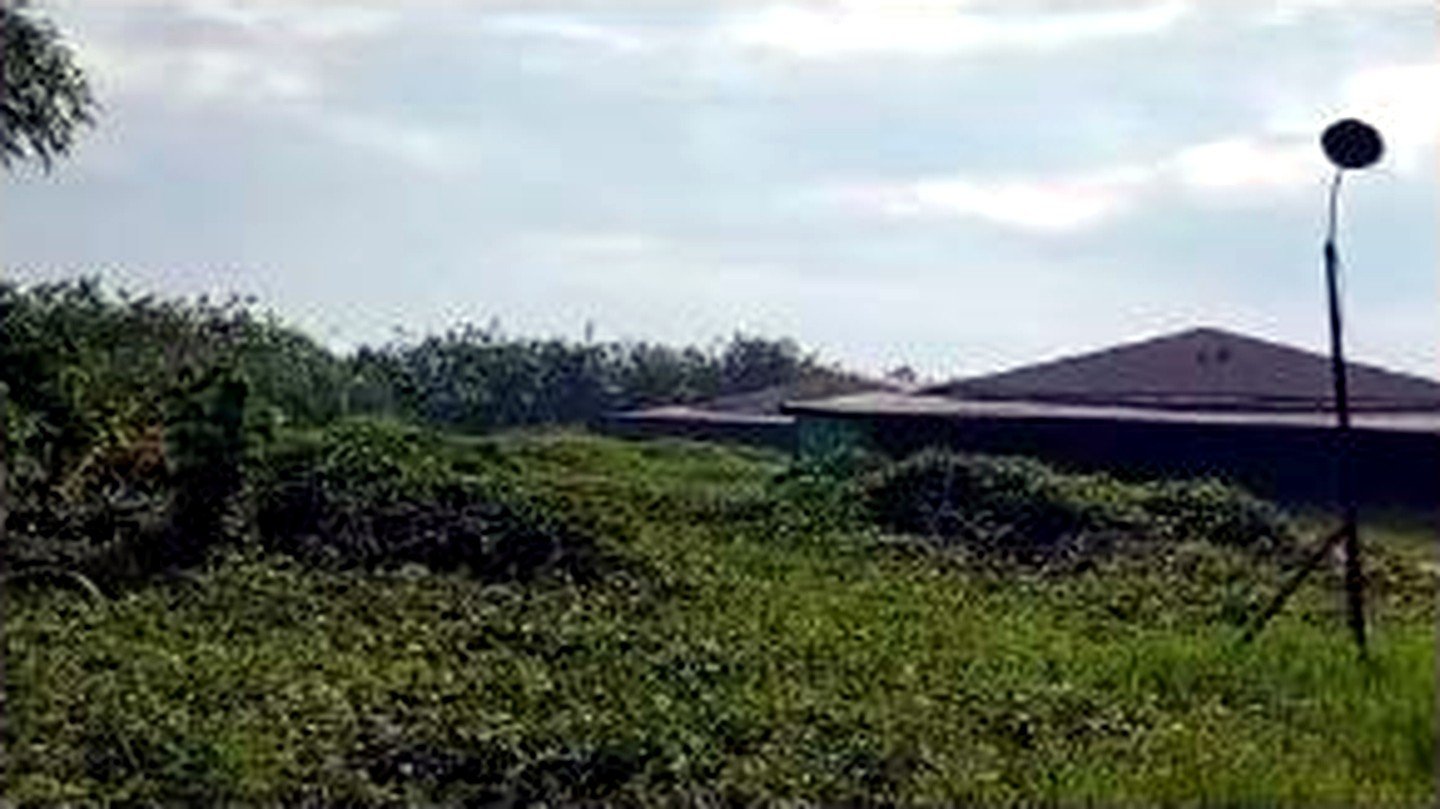 Poultry Farm for Sale in Concepcion, Tarlac | 2.8 Hectares