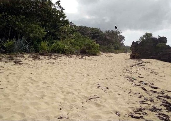 Beachfront Lot for Sale Between Patar, Bolinao and Bani, Pangasinan | 2 Hectares
