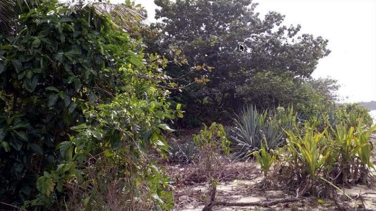 Beachfront Lot for Sale Between Patar, Bolinao and Bani, Pangasinan | 2 Hectares