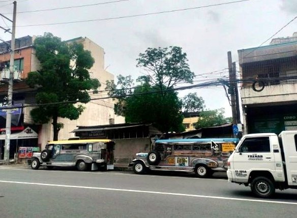 Commercial Lot for Sale in Roosevelt Ave (FPJ Ave), Quezon City | 750 sqm
