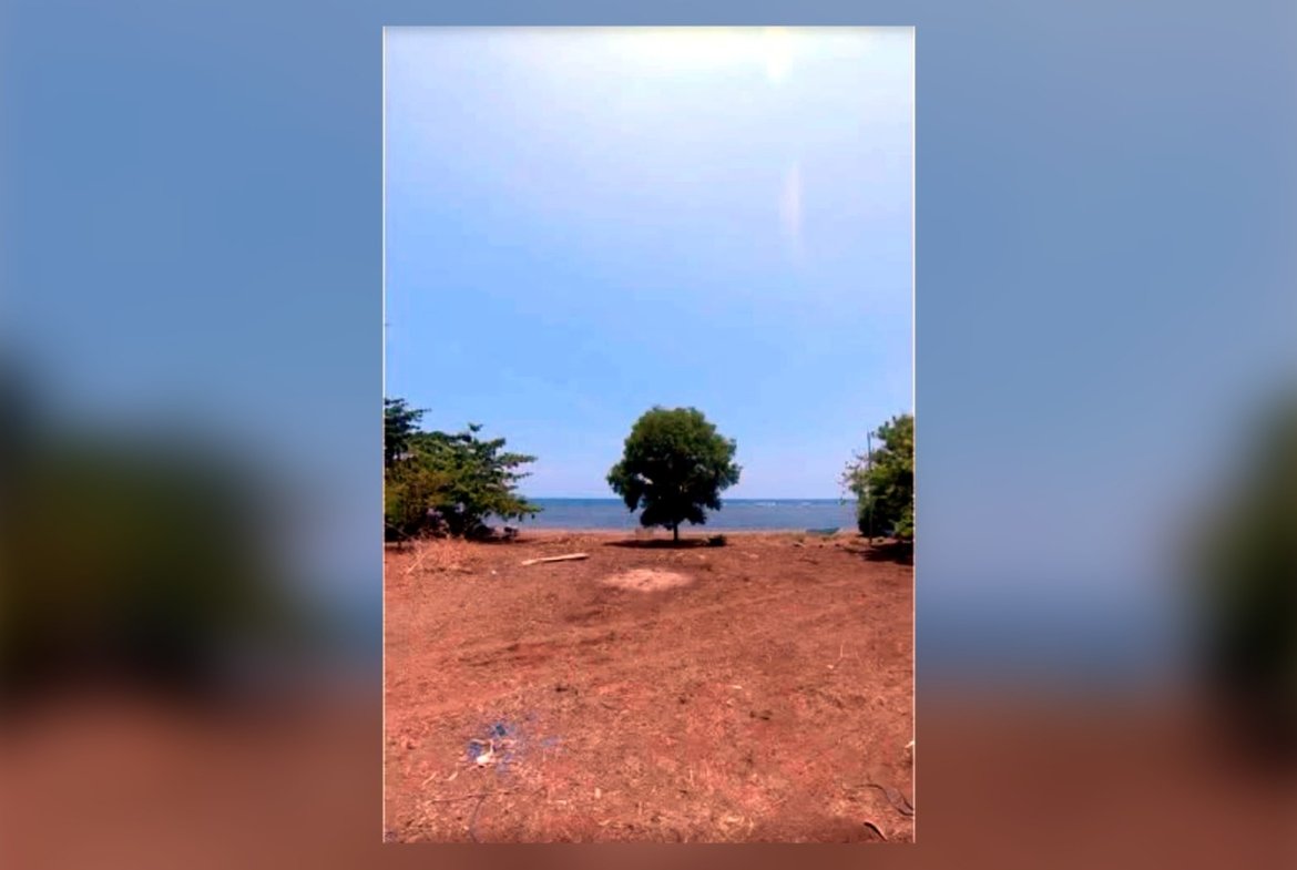 Prime Beachfront Lot for Sale in Iba, Zambales – 1,370 sqm