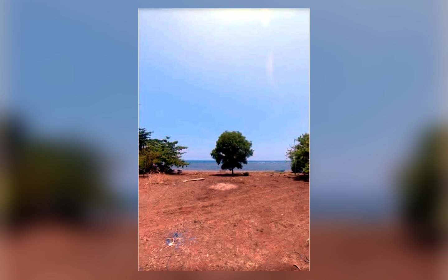 Prime Beachfront Lot for Sale in Iba, Zambales – 1,370 sqm