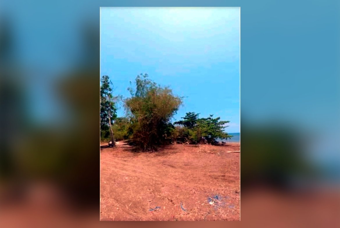 Prime Beachfront Lot for Sale in Iba, Zambales – 1,370 sqm