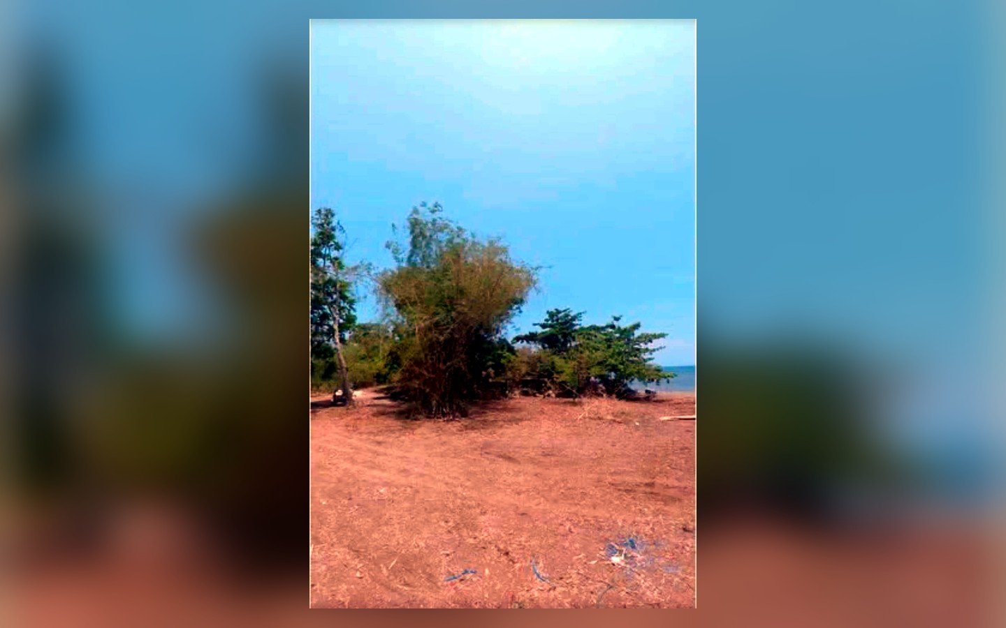 Prime Beachfront Lot for Sale in Iba, Zambales – 1,370 sqm