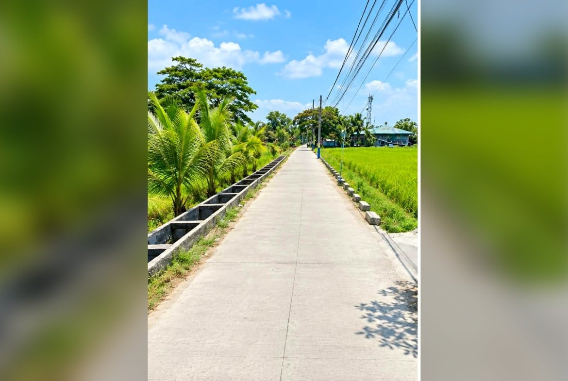 Rice Field Lot for Sale in Calantipay, Baliwag, Bulacan | 27,206 sqm (2.7 Hectares)