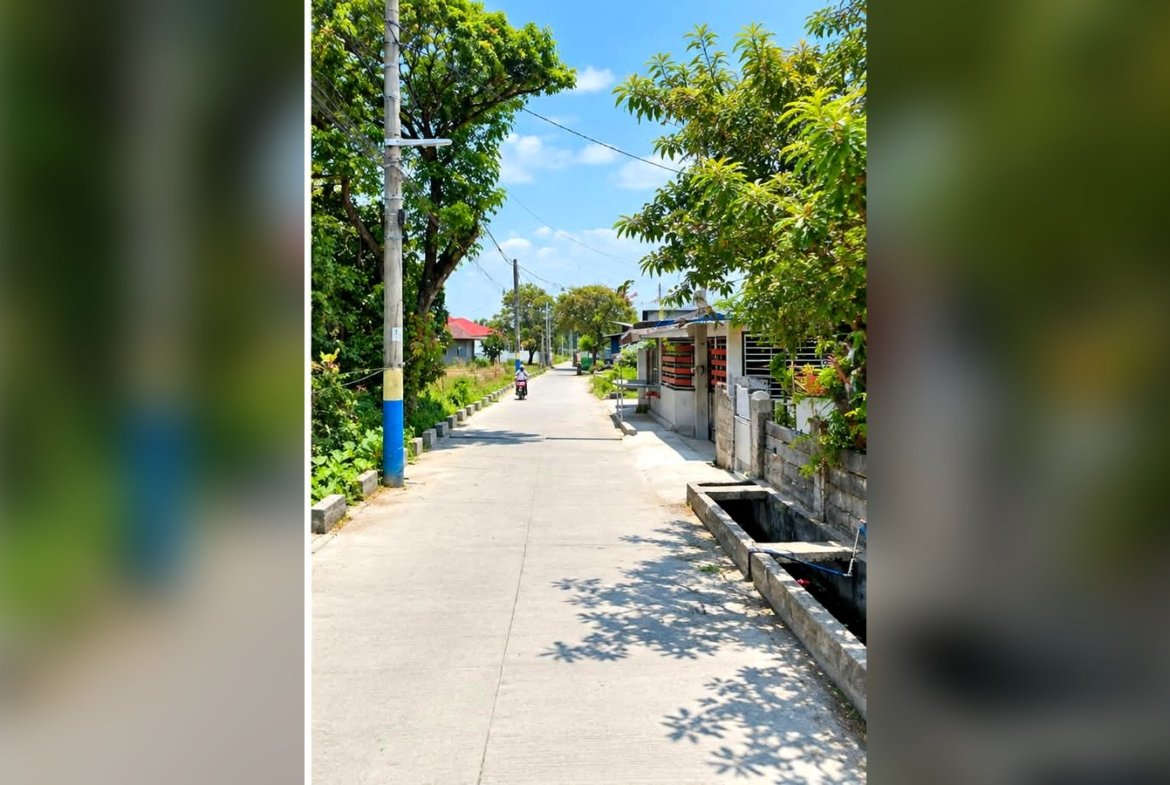 Rice Field Lot for Sale in Calantipay, Baliwag, Bulacan | 27,206 sqm (2.7 Hectares)