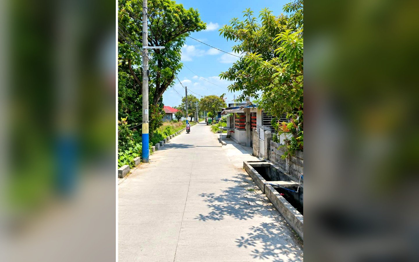concrete-access-road-rice-field-calantipay-baliwag-bulacan-2 Rice Field Lot for Sale in Calantipay, Baliwag, Bulacan | 27,206 sqm (2.7 Hectares)