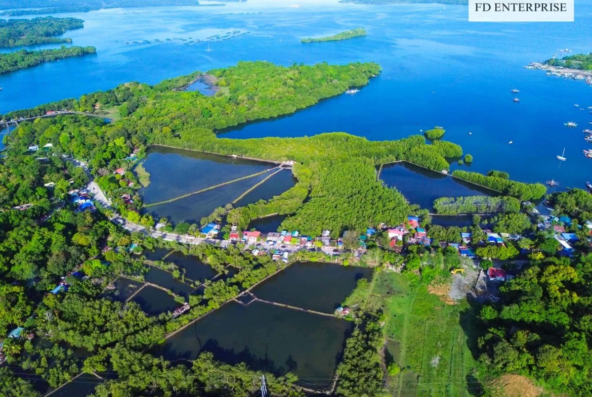15.7-Hectare Titled Beachfront Land for Sale in Masinloc, Zambales