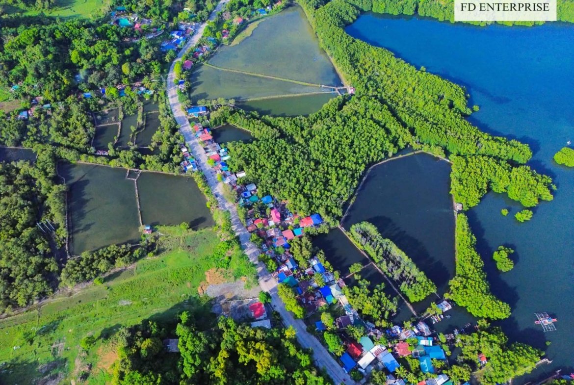 15.7-Hectare Titled Beachfront Land for Sale in Masinloc, Zambales