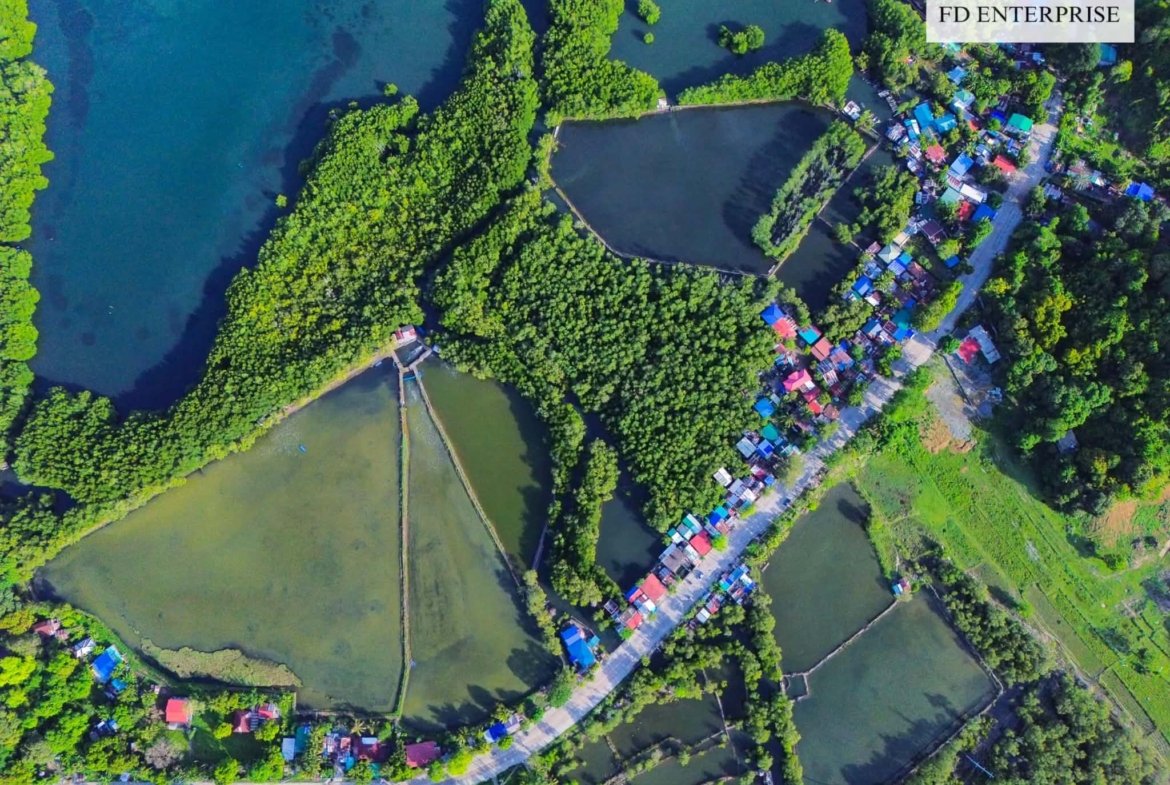 15.7-Hectare Titled Beachfront Land for Sale in Masinloc, Zambales