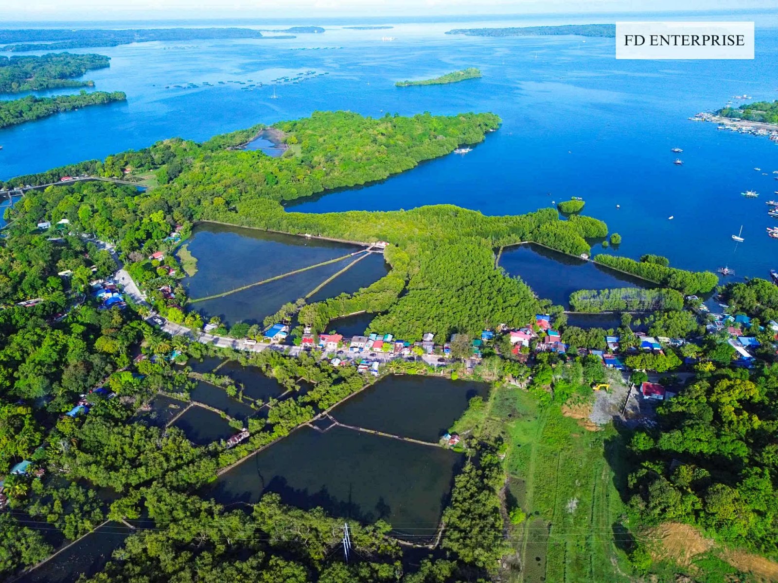 image 15.7-Hectare Titled Beachfront Land for Sale in Masinloc, Zambales
