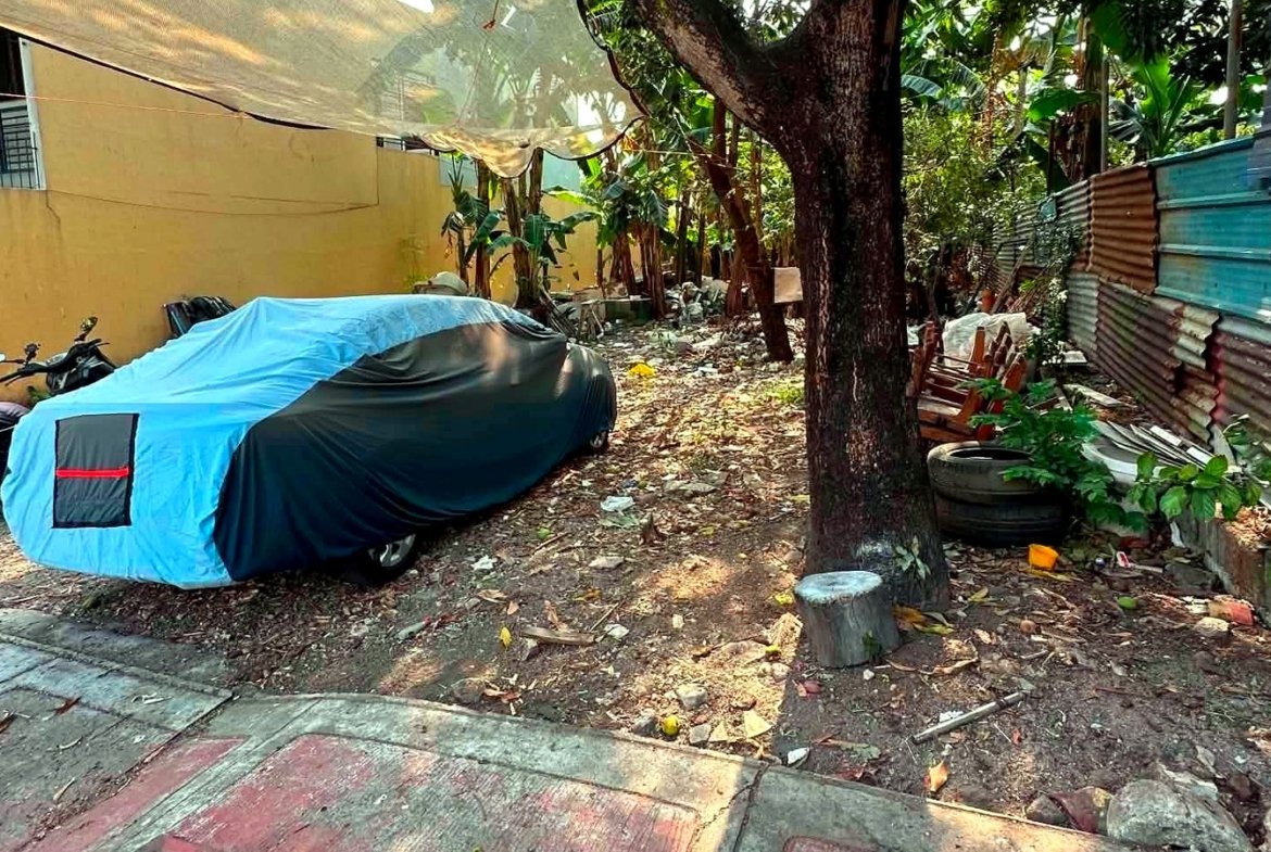 Residential Lot for Sale in UP Professors Subdivision, Culiat, Quezon City | 312 sqm